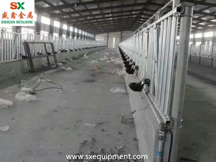 Iron Cast Cattle Water Bowl